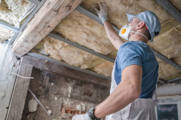 Best Eco-Friendly Insulation in New Martinsville, WV