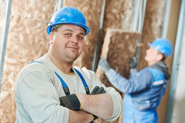 Best Eco-Friendly Insulation in New Martinsville, WV